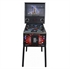 Picture of Electronic Pinball Virtual Pinball Club