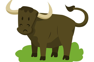 Image de Diet Therapy·Cattle