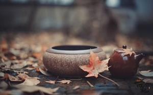 Baowang Samadhi の画像