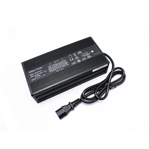 Show details for Replacement Charger for Citycoco Furious Picture of Replacement Charger for Citycoco Furious