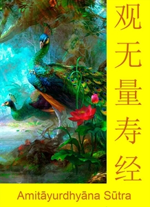 Picture of Amitāyurdhyāna Sūtra