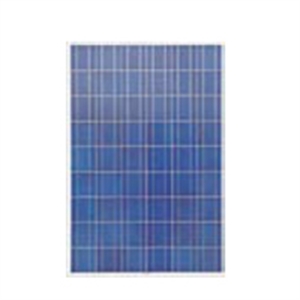 Изображение POLY Solar Panel  GYP 3W-300W