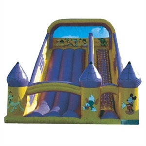 Picture of Big Slide