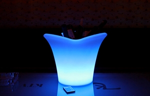 Picture of Two beef ice bucket