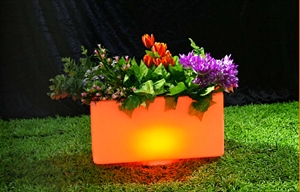 Image de Rectangular flowerpot