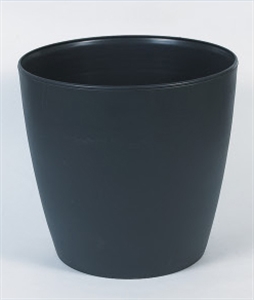 Image de FLOWER POT