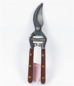 Picture of PRUNING SHEARS
