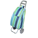 Shopping trolley bag XY-404B2 の画像